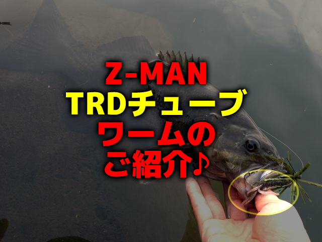 Z-MAN・TRDチューブのご紹介♪