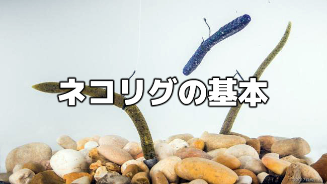 アメリカのネコリグと日本のネコリグを比較！リグ構成、ワーム、釣り方、その違いとは？