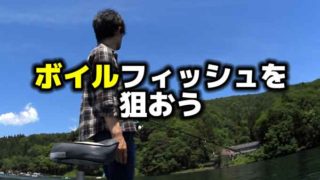 Thumbnail of post image 198