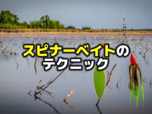 スピナーベイトのテクニック | バス釣りを学ぼう！野尻湖釣具店ブログ