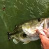 Carolina Rig Fishing for Bass | Field & Stream