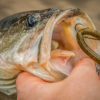 4 Easy Ways to Increase Your Hookup Ratio - Wired2Fish