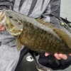 Catching Bass in Deep and Cold Water | The Ultimate Bass Fishing Resource Guideﾂ