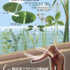 7月23日から第35回特別展「野尻湖の水草 ―変化する野尻湖の環境―」 | 野尻湖ナウマン