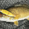 Go Old School with Glide Baits for Bass - Game & Fish