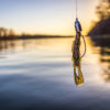 THE SHAD, CRAWFISH CONNECTION FOR FALL BASS FISHING - BayouLife